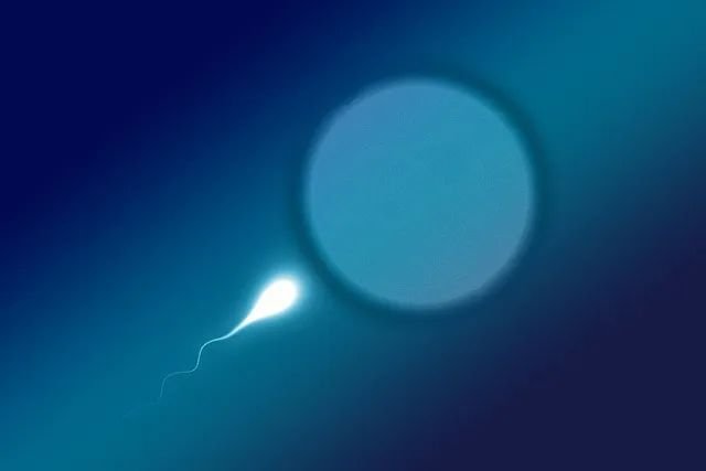 get 10 1 Global male sperm count declines significantly