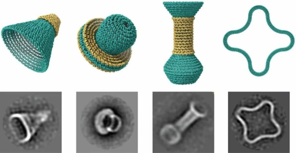 get 4 4 3 Weaving nano-models with DNA